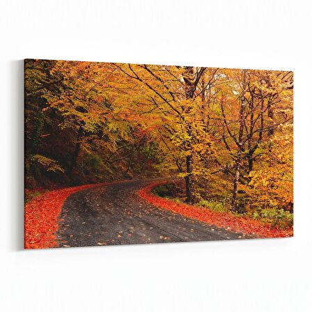 Olla 14302Y Doğa / Manzara Görseli Yatay Kanvas Tablo (Ölçü: 70X50)