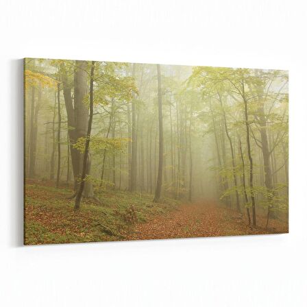 Olla 14593Y Doğa / Manzara Görseli Yatay Kanvas Tablo (Ölçü: 30X20)