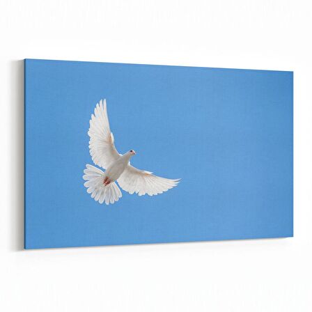Olla 15851Y Gökyüzü Kuşlar Görseli Yatay Kanvas Tablo (Ölçü: 30X20)