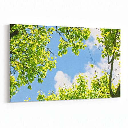 Olla 10580Y Ağaç Görseli Yatay Kanvas Tablo (Ölçü: 45X30)