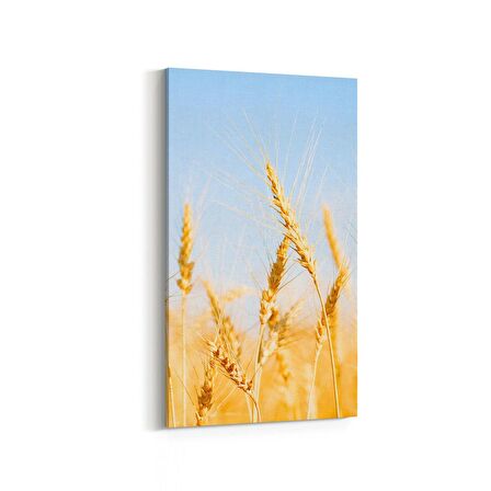 Olla 15291DD Gıda Görseli Dikey Dar Kanvas Tablo (Ölçü: 60X120)