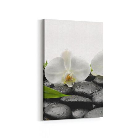 Olla 17106D Spa / Masaj Görseli Dikey Kanvas Tablo (Ölçü: 60X90)