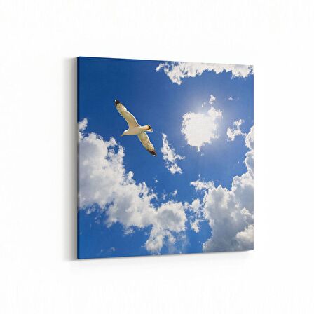 Olla 15831K Gökyüzü Kuşlar Görseli Kare Kanvas Tablo (Ölçü: 25X25)