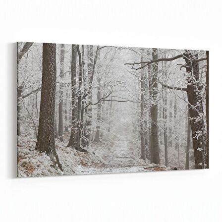 Olla 14451Y Doğa / Manzara Görseli Yatay Kanvas Tablo (Ölçü: 90X60)