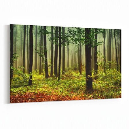 Olla 13271Y Doğa / Manzara Görseli Yatay Kanvas Tablo (Ölçü: 45X30)