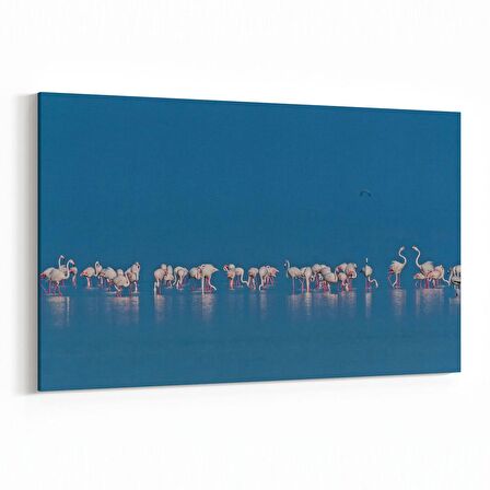 Olla 12685Y Hayvanlar Alemi Görseli Yatay Kanvas Tablo (Ölçü: 30X20)