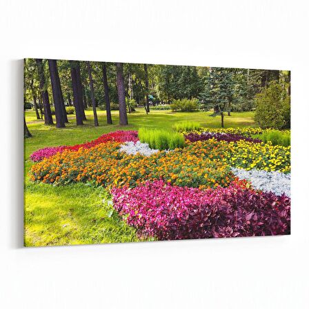 Olla 13334Y Doğa / Manzara Görseli Yatay Kanvas Tablo (Ölçü: 150X100)