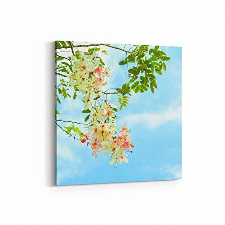 Olla 10879K Ağaç Görseli Kare Kanvas Tablo (Ölçü: 30X30)