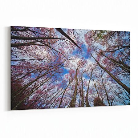 Olla 10768Y Ağaç Görseli Yatay Kanvas Tablo (Ölçü: 90X60)