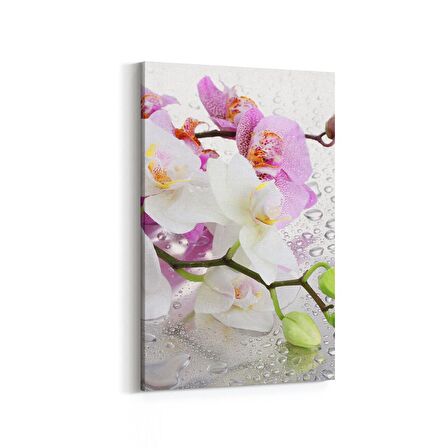 Olla 11670D Orkide Çiçek Görseli Dikey Kanvas Tablo (Ölçü: 70X105)