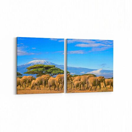 Olla 12661K2Y Hayvanlar Alemi Görseli Kare 2'li Yatay Kanvas Tablo (Ölçü: 105X50)
