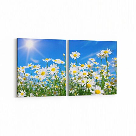 Olla 14323K2Y Doğa / Manzara Görseli Kare 2'li Yatay Kanvas Tablo (Ölçü: 105X50)