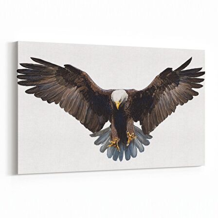 Olla 12592Y Hayvanlar Alemi Görseli Yatay Kanvas Tablo (Ölçü: 70X50)