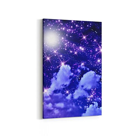Olla 14674D Gece Gökyüzü Görseli Dikey Kanvas Tablo (Ölçü: 20X30)