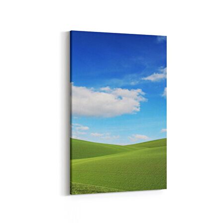Olla 13827D Doğa / Manzara Görseli Dikey Kanvas Tablo (Ölçü: 20X30)