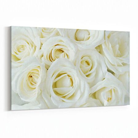 Olla 11646Y Çiçek Görseli Yatay Kanvas Tablo (Ölçü: 150X100)