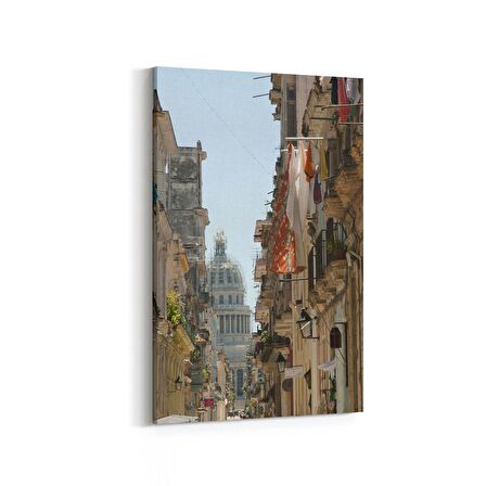 Olla 18515D Yapı Görseli Dikey Kanvas Tablo (Ölçü: 100X150)