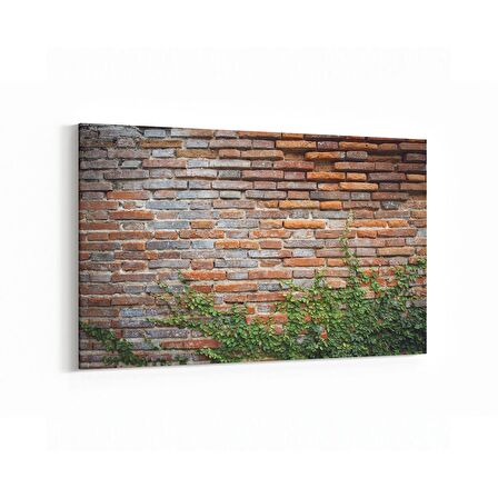 Olla 17404Y Taş / Tuğla Görseli Yatay Kanvas Tablo (Ölçü: 45X30)