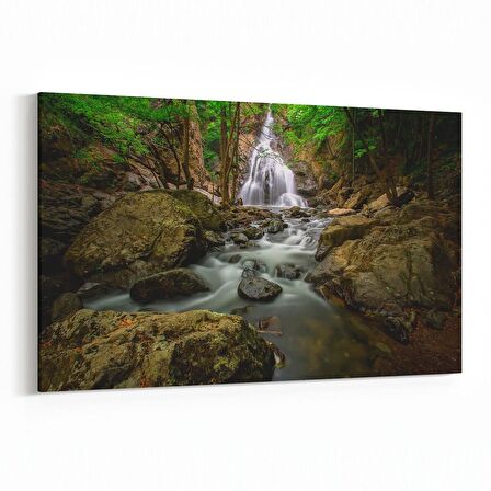 Olla 13164Y Doğa / Manzara Görseli Yatay Kanvas Tablo (Ölçü: 70X50)