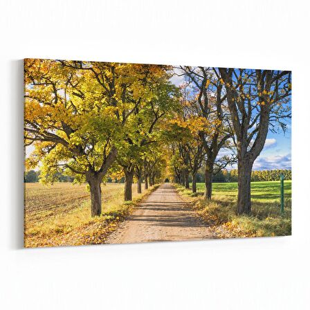 Olla 14160Y Doğa / Manzara Görseli Yatay Kanvas Tablo (Ölçü: 120X80)