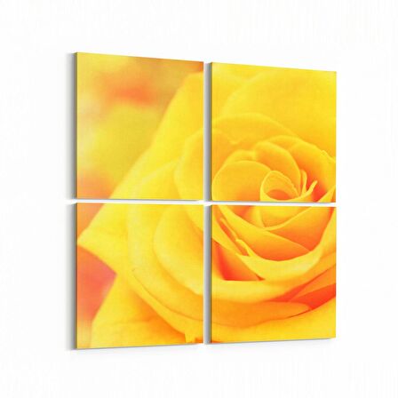 Olla 11592K4 Çiçek Görseli Kare 4'lü Kanvas Tablo (Ölçü: 105X105)