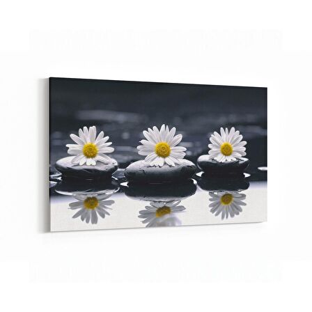 Olla 17060Y Spa / Masaj Görseli Yatay Kanvas Tablo (Ölçü: 150X100)