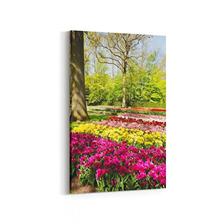 Olla 14559D Doğa / Manzara Görseli Dikey Kanvas Tablo (Ölçü: 60X90)