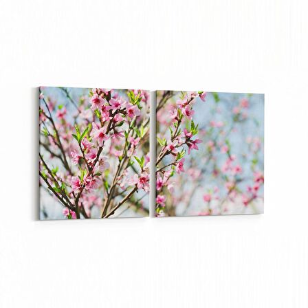Olla 10723K2Y Ağaç Görseli Kare 2'li Yatay Kanvas Tablo (Ölçü: 105X50)