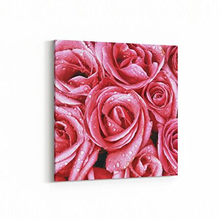 Olla 11640K Çiçek Görseli Kare Kanvas Tablo (Ölçü: 60X60)