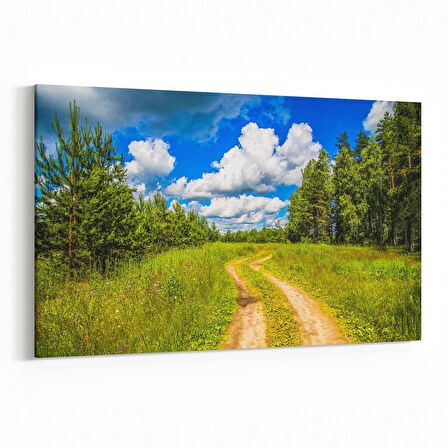 Olla 13186Y Doğa / Manzara Görseli Yatay Kanvas Tablo (Ölçü: 90X60)