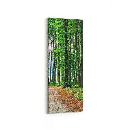 Olla 13870DI Doğa / Manzara Görseli Dikey İnce Kanvas Tablo (Ölçü: 40X120)