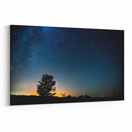 Olla 13731Y Doğa / Manzara Görseli Yatay Kanvas Tablo (Ölçü: 70X50)