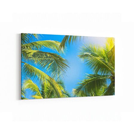 Olla 11487Y Palmiye Ağacı Görseli Yatay Kanvas Tablo (Ölçü: 150X100)