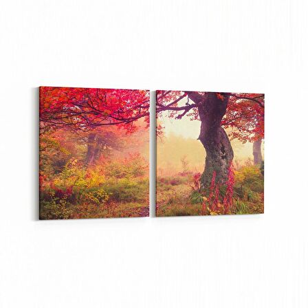 Olla 13708K2Y Doğa / Manzara Görseli Kare 2'li Yatay Kanvas Tablo (Ölçü: 65X30)