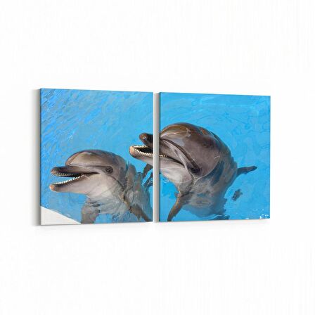 Olla 12999K2Y Deniz / Okyanus Görseli Kare 2'li Yatay Kanvas Tablo (Ölçü: 145X70)