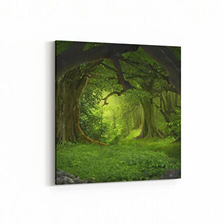 Olla 14120K Doğa / Manzara Görseli Kare Kanvas Tablo (Ölçü: 60X60)