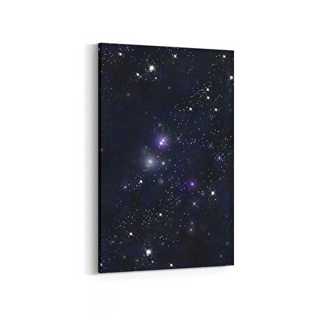 Olla 14840D Gece Gökyüzü Görseli Dikey Kanvas Tablo (Ölçü: 20X30)