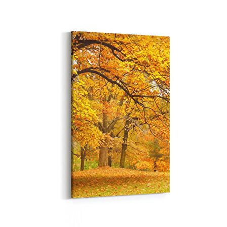 Olla 13229D Doğa / Manzara Görseli Dikey Kanvas Tablo (Ölçü: 100X150)
