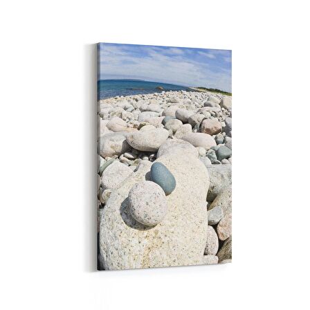 Olla 16549D Kumsal / Sahil Görseli Dikey Kanvas Tablo (Ölçü: 100X150)
