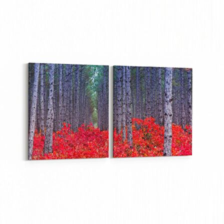 Olla 13561K2Y Doğa / Manzara Görseli Kare 2'li Yatay Kanvas Tablo (Ölçü: 125X60)