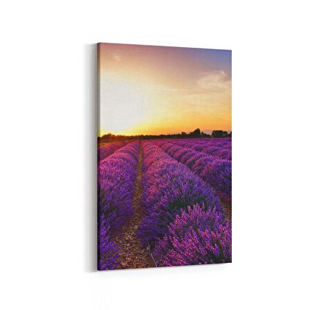 Olla 16002D Günbatımı Görseli Dikey Kanvas Tablo (Ölçü: 60X90)