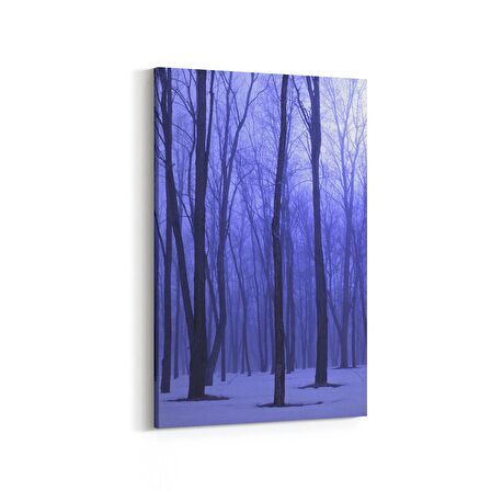 Olla 14122D Doğa / Manzara Görseli Dikey Kanvas Tablo (Ölçü: 70X105)