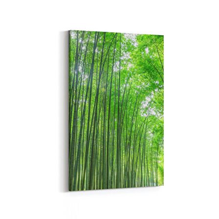 Olla 13474D Doğa / Manzara Görseli Dikey Kanvas Tablo (Ölçü: 20X30)