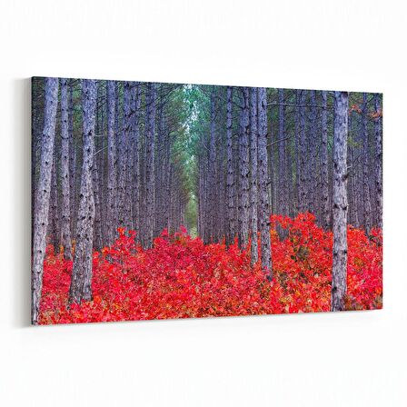 Olla 13561Y Doğa / Manzara Görseli Yatay Kanvas Tablo (Ölçü: 90X60)