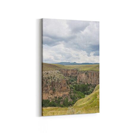 Olla 14103D Doğa / Manzara Görseli Dikey Kanvas Tablo (Ölçü: 100X150)