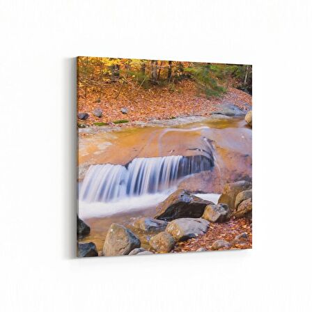 Olla 13722K Doğa / Manzara Görseli Kare Kanvas Tablo (Ölçü: 25X25)