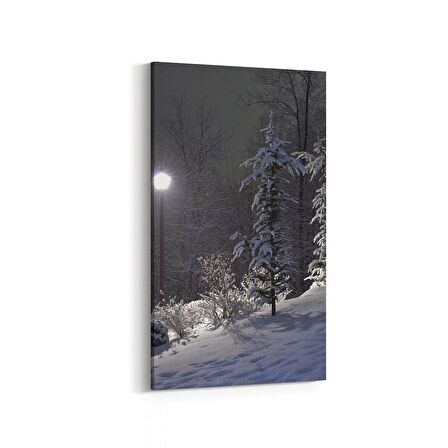 Olla 14217DD Doğa / Manzara Görseli Dikey Dar Kanvas Tablo (Ölçü: 30X60)