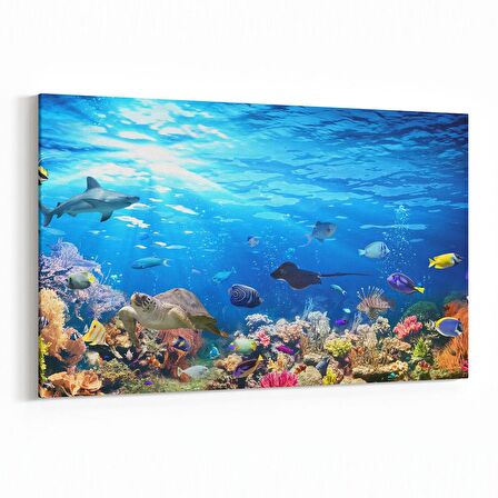 Olla 12062Y Akvaryum / Balık Görseli Yatay Kanvas Tablo (Ölçü: 30X20)