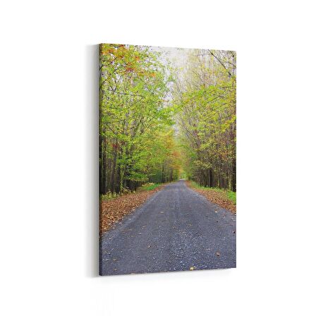 Olla 14411D Doğa / Manzara Görseli Dikey Kanvas Tablo (Ölçü: 60X90)