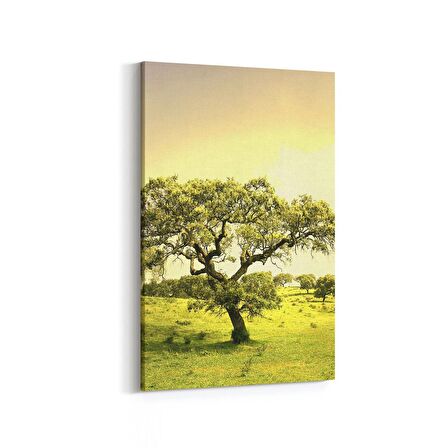 Olla 13888D Doğa / Manzara Görseli Dikey Kanvas Tablo (Ölçü: 100X150)